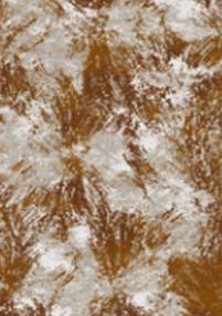 ROME (O2833)