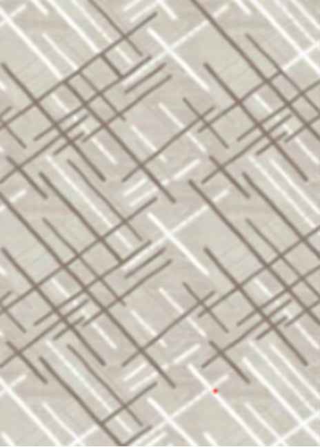 PARIS (O2917)