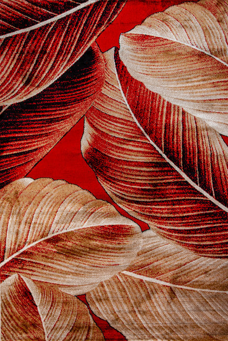 SABA (O1998)